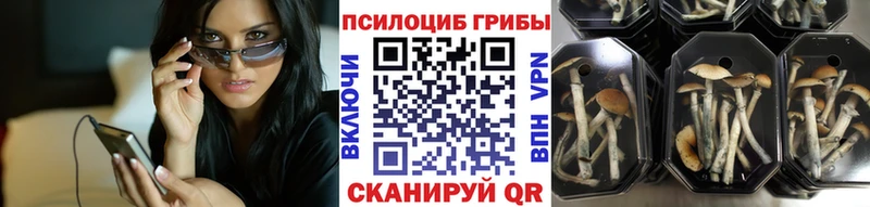 наркота  OMG ТОР  Галлюциногенные грибы MAGIC MUSHROOMS  Дно 